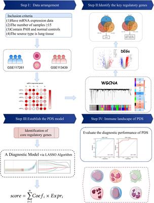 Construction of a diagnostic signature and immune landscape of pulmonary arterial hypertension